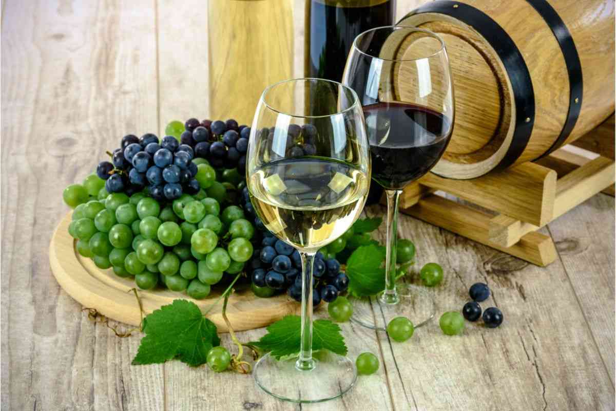 Degustazione vini a Castelbuono